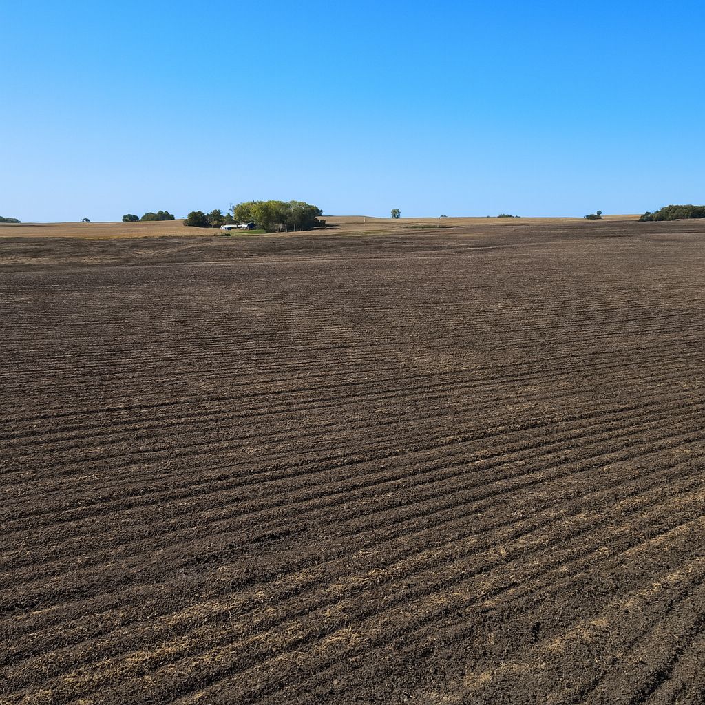 Listing Photo: 80.39 acres near Walters, MN - Faribault County